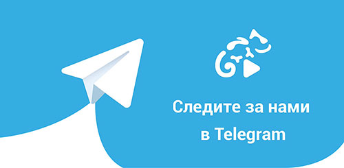 канал в telegram 73spravo4ki.ru
